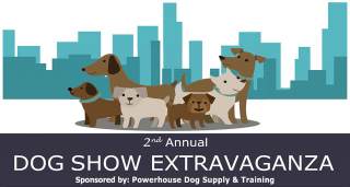The 2nd Annual Dog Show Extravaganza