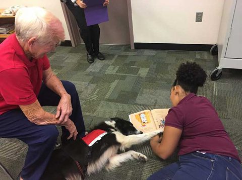 One of our therapy dogs assisting with an elderly patient.